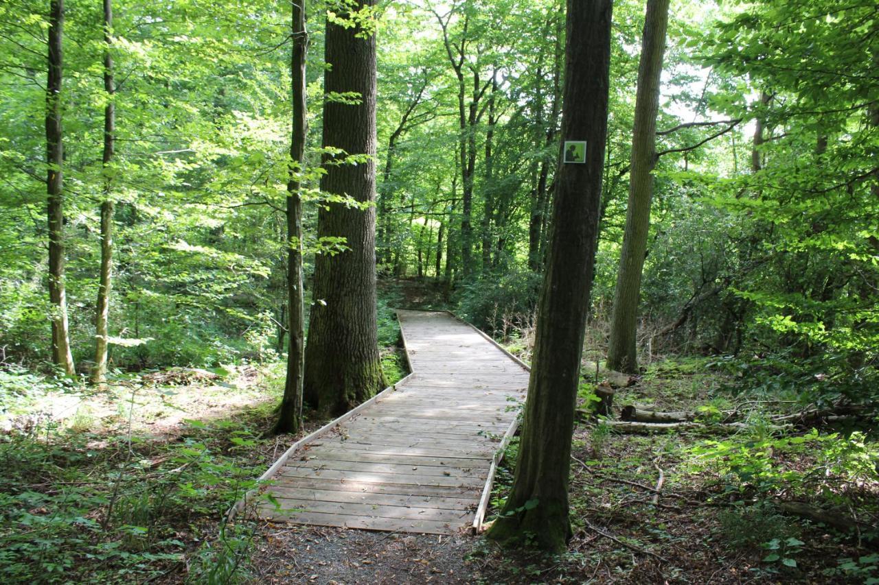 Ferienwohnung Forellenhof Oberschwarzach ภายนอก รูปภาพ