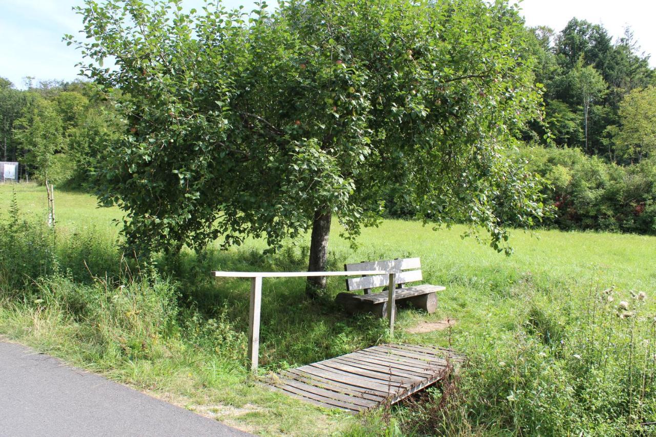 Ferienwohnung Forellenhof Oberschwarzach ภายนอก รูปภาพ
