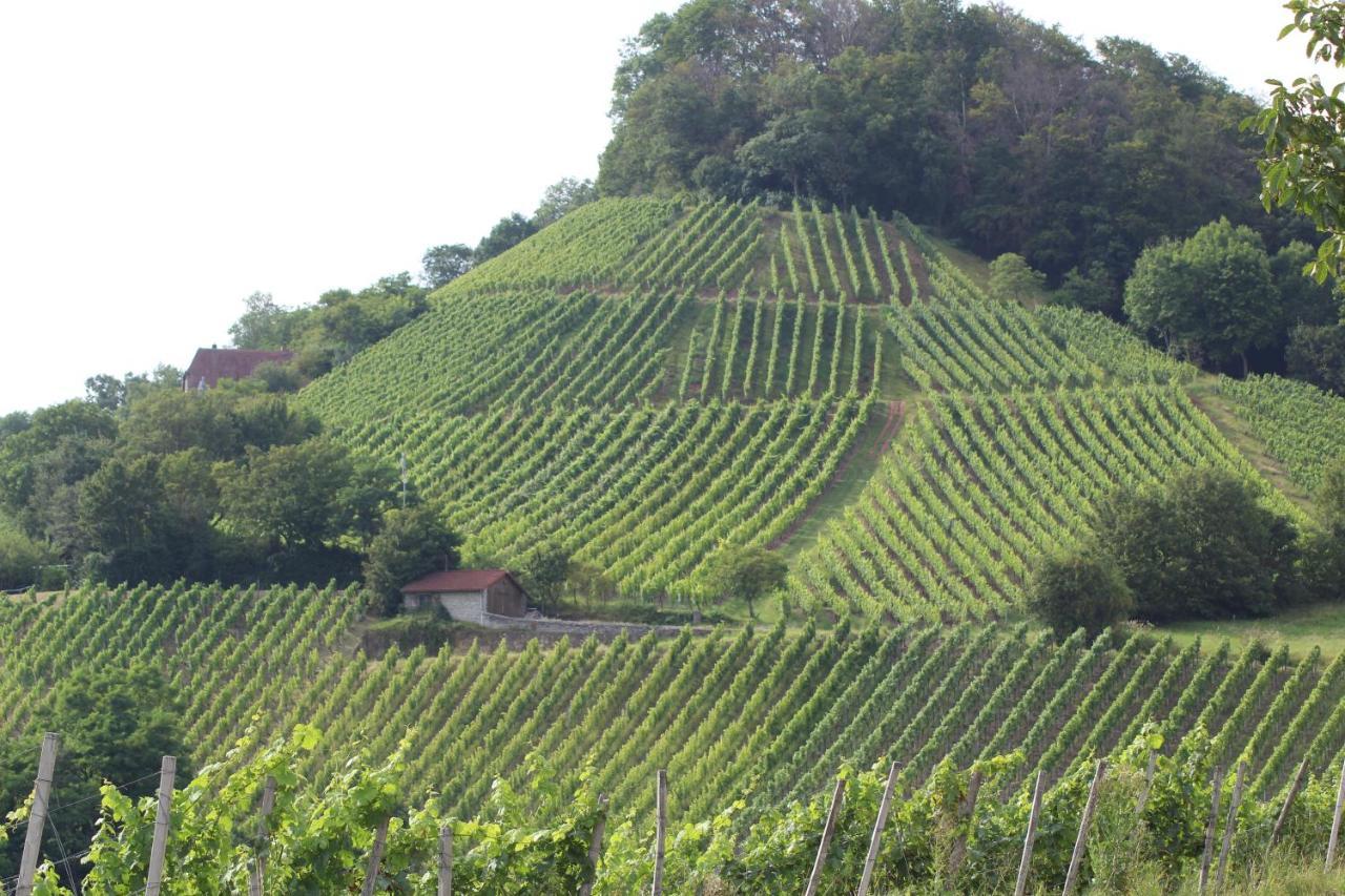 Ferienwohnung Forellenhof Oberschwarzach ภายนอก รูปภาพ